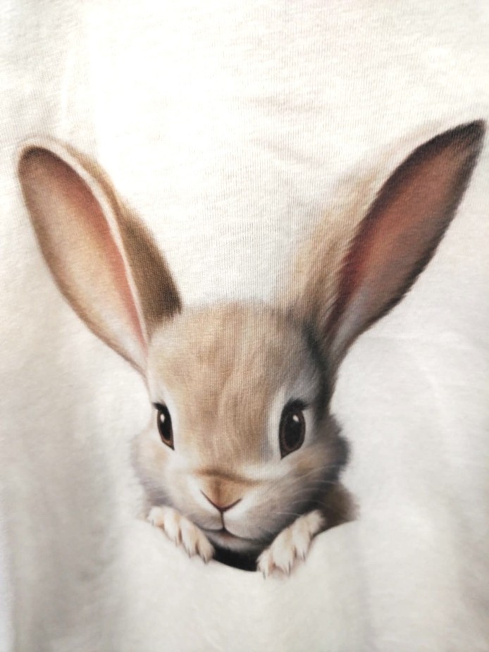 CAMISETA Y RANA O POPPY