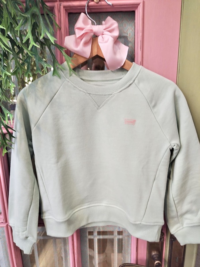 Ropa de marca Levis niña