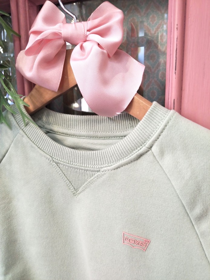 Ropa de marca Levis niña