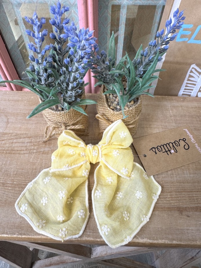 COLECCIÓN PRETTY DE LOLITTOS