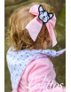 COLECCIÓN ÓNIX DE LOLITTOS