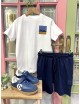 COLECCIÓN NIÑO DE ENERGIERS