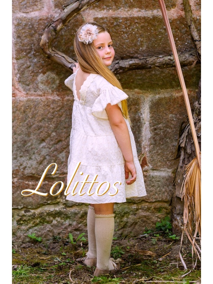COLECCIÓN DINASTIA DE LOLITTOS