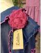 COLECCIÓN AURORA DE LOLITTOS