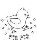 Piopio